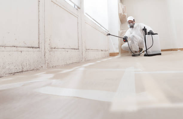 24/7 Emergency Attic Mold Remediation experts in Berkeley, IL